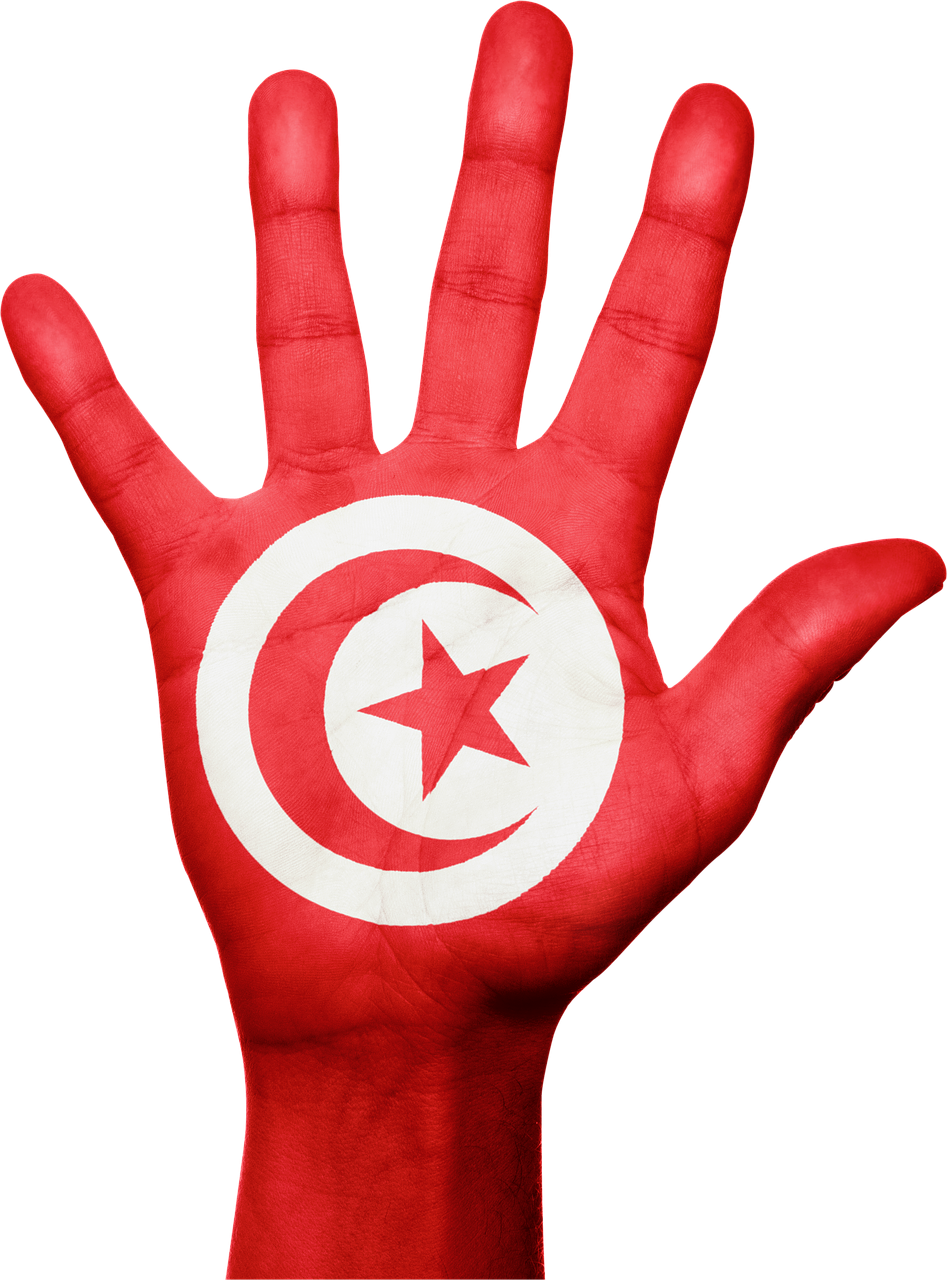 https://astroluna.rs/wp-content/uploads/2019/08/tunisia-983403_1280-1-947x1280.png