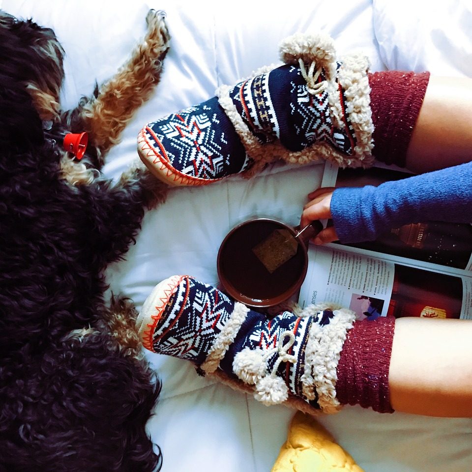 https://astroluna.rs/wp-content/uploads/2019/11/dog-1798158_1280-960x960.jpg