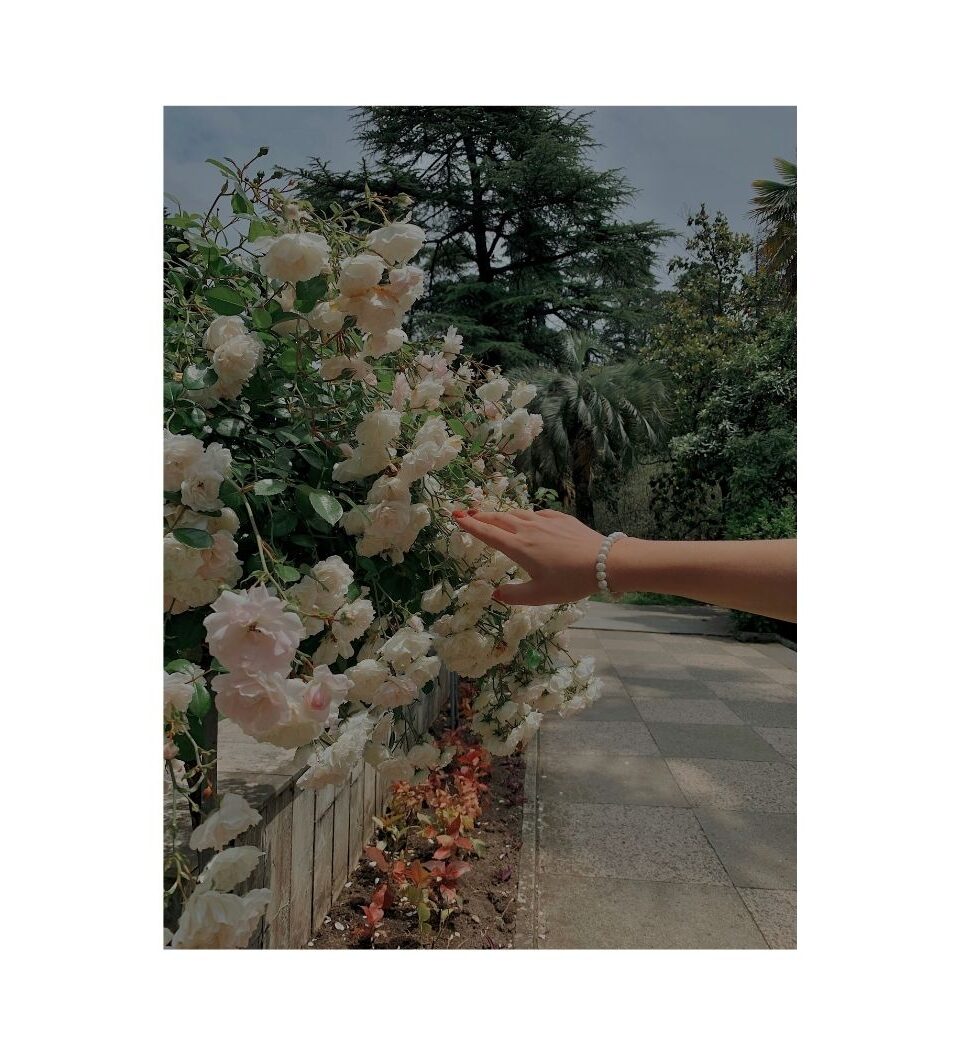 https://astroluna.rs/wp-content/uploads/2026/06/Nenaslovljeni-dizajn-960x1056.jpg